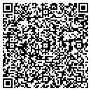 QR code with Pulsonix Inc contacts