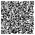 QR code with Avm Lp contacts