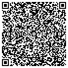 QR code with Blue Dolphin Production contacts