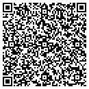 QR code with Premier Energy contacts