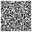 QR code with Pro Technics contacts