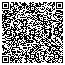 QR code with Pro Technics contacts
