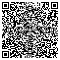 QR code with Ytcllc contacts