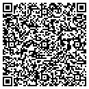 QR code with Pro Technics contacts