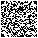 QR code with Project Bridge contacts