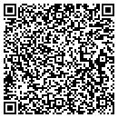 QR code with Pulaski Taxes contacts