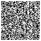 QR code with Professional Temporaries contacts