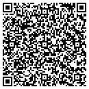 QR code with Pro Technics contacts