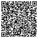 QR code with Golinos contacts
