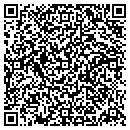 QR code with Productive Data Solutions contacts