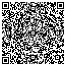 QR code with Puzzle Pieces LLC contacts
