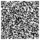 QR code with Blue River Dev Group LLC contacts
