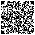 QR code with Amsoil contacts