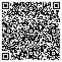 QR code with Amsoil contacts