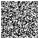 QR code with County Of Pulaski contacts