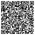 QR code with Linex Travel contacts