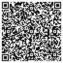 QR code with Project Professional contacts