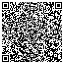 QR code with Colorsafe IV Lines contacts