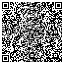 QR code with Cyber Travel Inc contacts