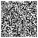 QR code with Pulselink Inc contacts