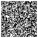 QR code with Premier Bone & Joint contacts