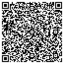 QR code with Precision Hydraulics contacts