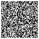 QR code with Pso Petroleum LLC contacts