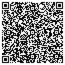QR code with Ps Petroleum contacts