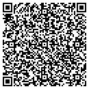 QR code with Cytoptics Corporation contacts