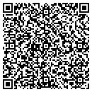 QR code with Clinical Instruments contacts