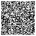 QR code with Pitt contacts