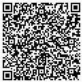 QR code with Tesoro contacts