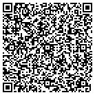 QR code with Public Safety Department contacts