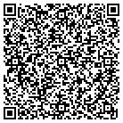 QR code with Public Safety Department contacts
