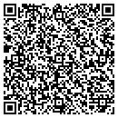 QR code with Capital District Dso contacts