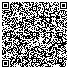 QR code with Pulse Therapeutics Inc contacts