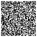 QR code with Chemung Twp Assessor contacts