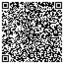 QR code with Cyrstalmichelle Inc contacts