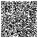 QR code with Temp Cfo Inc contacts