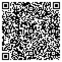 QR code with T Matan contacts