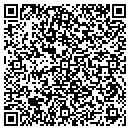 QR code with Practical Investments contacts