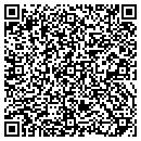 QR code with Professional Data Inc contacts