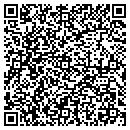 QR code with BlueInk Review contacts