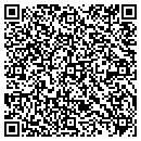 QR code with Professional Care LLC contacts