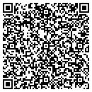 QR code with Press Play Production contacts