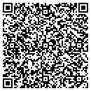QR code with Publishing Partner In contacts