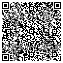 QR code with Cochise Health Network contacts