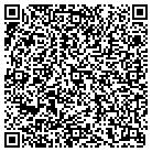 QR code with Pueblo Viejo Investments contacts