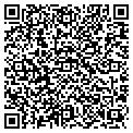 QR code with Anchin contacts