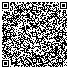 QR code with Blue Streak Express contacts